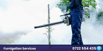 fumigation services nairobi kenya