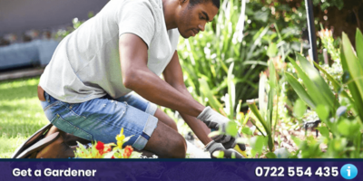 gardening services nairobi kenya gardener