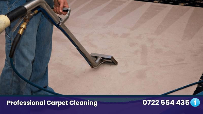 professional carpet cleaning nairobi kenya