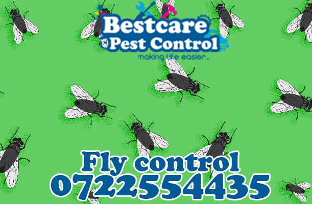 fly-flies control pest control nairobi kenya nakuru kiambu mombasa nyeri eldoret