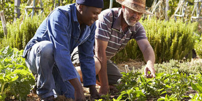 garden maintenance garden clearing services nairobi kenya