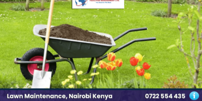 lawn care nairobi kenya lawn maintenance land scaping services