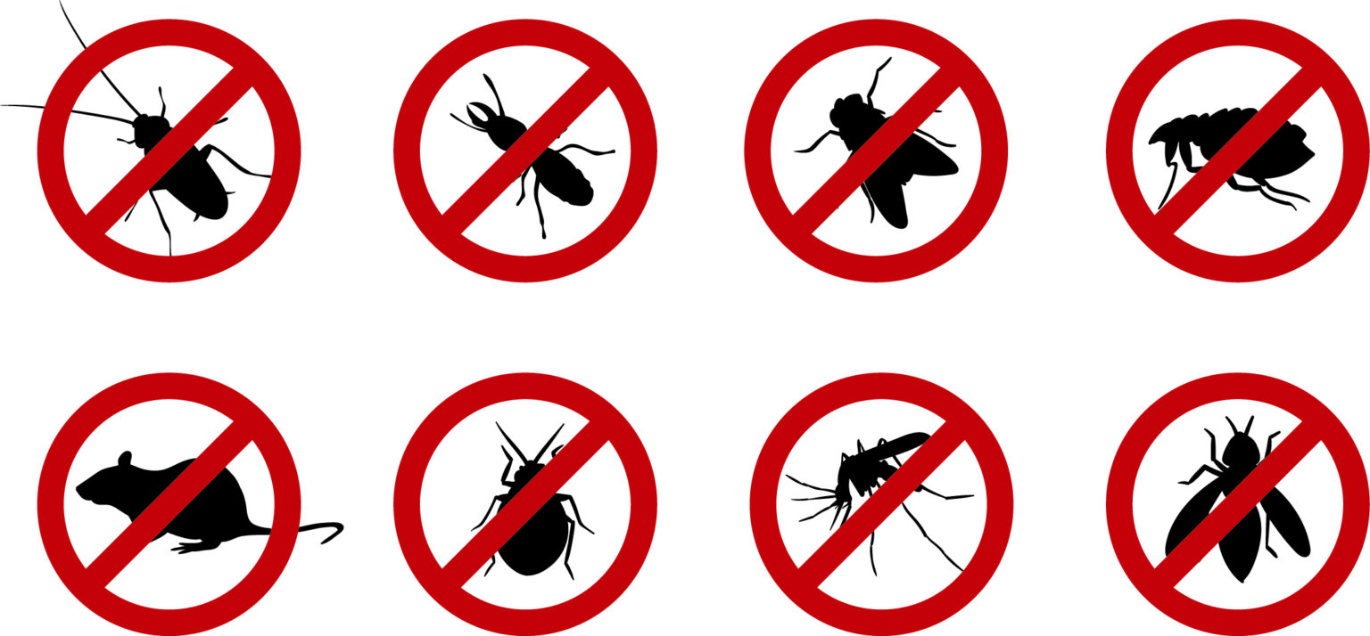 Pest Control Services in Nairobi 0725548383 1 Fumigation, Fogging