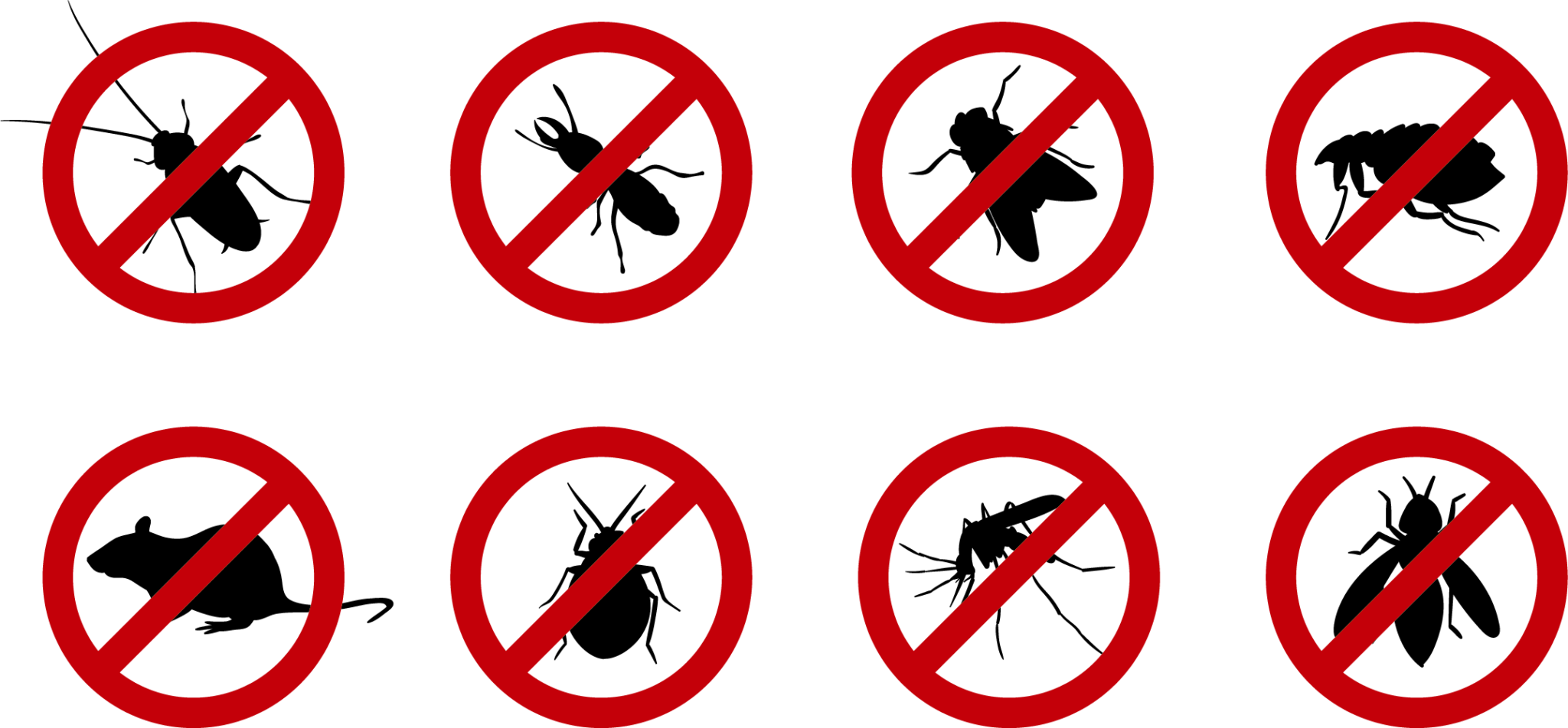 Pest Control Services in Nairobi 0725548383 1 Fumigation, Fogging