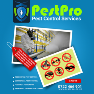 pest control services in Nairobi Kenya fumigation fogging treatment disinfection