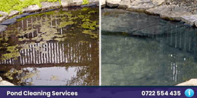 Pond Cleaning Services nairobi kenya