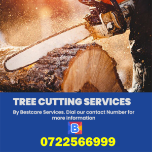 TREE-CUTTING SERVICES NAIROBI KENYA
