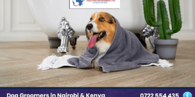 dog training in nairobi kenya dog grooming services