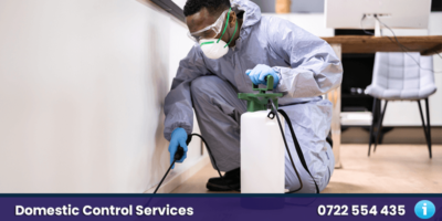 domestic pest control company nairobi kenya