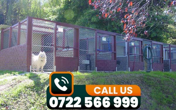 dog boarding services in nairobi kenya