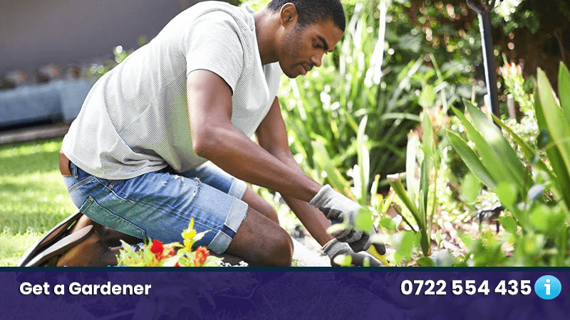 gardening services nairobi kenya gardener