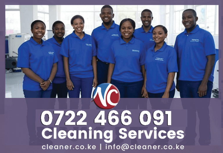 PROFESSIONAL CLEANING SERVICES IN NAIROBI AND KENYA