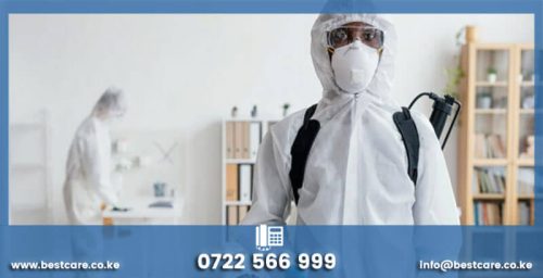 Pest Control Services in Nairobi, Kenya